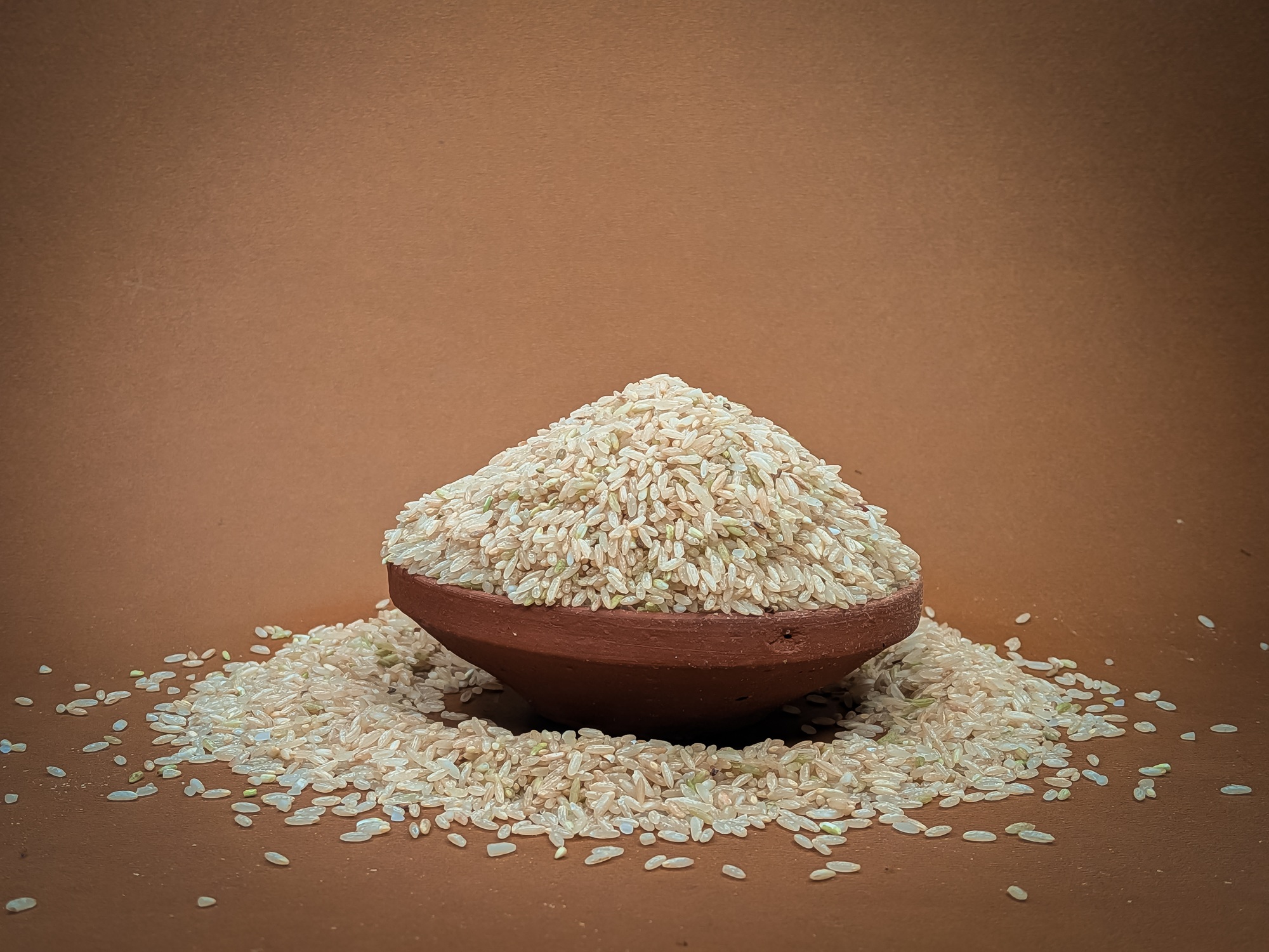 Mysore Malliga - Image 3